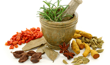 The method of treating parasites in the body